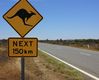 Verkehrsschild Kängurus auf Landstraße in Australien